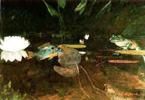 Winslow Homer The Mink Pond France oil painting art